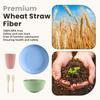 Homienly Wheat Straw Dinnerware Sets 20 PCS Cups and Plates Sets for Kitchen Microwave and Dishwasher Safe Plate Set Unbreakable Camping Dish Set Kids Plates and Bowls Sets for Picnic, RV (Multilight) view 3