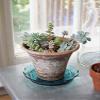 Glass Tray 4-Pack with Scalloped Rim by Achla Designs view 3