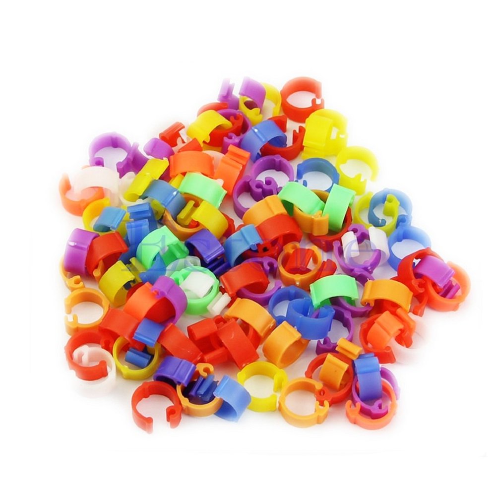 Q-XIAOKEAI 100X Chicken Hen Pigeon Leg Poultry Dove Bird Duck Chicks Parrot Clip Rings Band