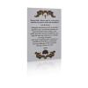 Blessing Salt from the Dead Sea with a Blessing card (5.3 ounces/150gr) view 3