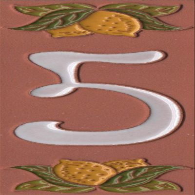 Italian 15cm x 5cm Terracotta Hand-painted Lemon Designed Glass Enamel House Number Tiles (Number 5)