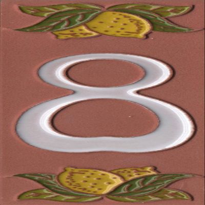 Italian 15cm x 5cm Terracotta Hand-painted Lemon Designed Glass Enamel House Number Tiles (Number 8)