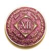 12 Year NA Bling Medallion - Purple, Lavender, Sparkle, Glitter, Chip, Coin, Token view 1