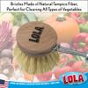 LOLA Replacement Head for The Original Tampico Vegetable & Dish Brush, 1.75" Head, Birchwood & Poly Bristles, Reusable & Washable, 1 Pack view 4