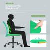 Best Ergonomic Cute Mesh Office Chair, Armless Lumbar Support, Chic Modern Desk PC Chair Black, Mid Back Adjustable Swivel for Home Office Conference Study Room Mesh Office Chair, Green Set of 1 view 4