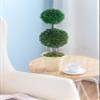 A&B Home 22" Boxwood Double Sphere Topiary Home Plant Potted in Pulp Planter Indoor Outdoor view 4