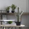 A&B Home 24" Artificial Saguaro Cactus in Plastic Planter Pot Indoor Outdoor House Decoration view 1