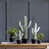 A&B Home 24" Artificial Saguaro Cactus in Plastic Planter Pot Indoor Outdoor House Decoration view 3