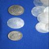Salty Pelican 1 Inch Capiz Shells Volume Priced Pack of 50 view 2