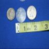 Salty Pelican 1 Inch Capiz Shells Volume Priced Pack of 50 view 3