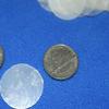 Salty Pelican 1 Inch Capiz Shells Volume Priced Pack of 50 view 4
