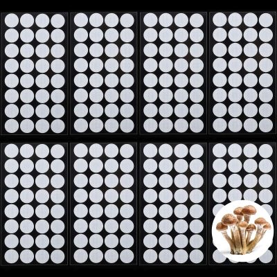 Zonon 256 Pieces Synthetic Filter Paper Sticker 20 x 3 mm Filter Disc