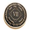 7 Year NA Black Phoenix Rising from The Ashes Medallion-Chip, Coin, Token view 2
