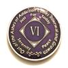 6 Year NA Deep Purple Medallion -Chip, Coin, Token view 1