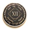 12 Year NA Black Phoenix Rising from The Ashes Medallion-Chip, Coin, Token view 2