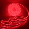 XUNATA LED Neon Light, Dimmable AC 110-120V Flexible LED Neon Strip Lights, 120 LEDs/M, 63ft/19m Waterproof 2835 SMD LED Rope Light + Remote Controller for Party Decoration(Red) view 1