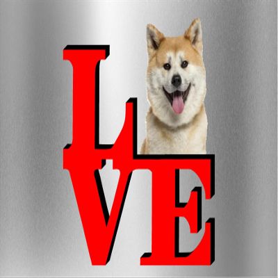 Akita Love Park Cute Dog Fridge Refrigerator Car Magnet