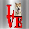 Akita Love Park Cute Dog Fridge Refrigerator Car Magnet view 1