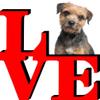 Border Terrier Love Park Cute Dog Fridge Refrigerator Car Magnet view 1