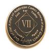 7 Year NA Black & Gold Medallion -Chip, Coin, Token view 1