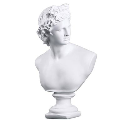 11.8 Inch Classic Greek White David Man Bust Statue, Large Resin Roman Goddess Apollo Sculpture for Home Dcor