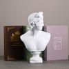 11.8 Inch Classic Greek White David Man Bust Statue, Large Resin Roman Goddess Apollo Sculpture for Home Dcor view 2