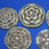 Salty Pelican Pack of 70 Quality Inspected Sea Urchin Shells Size Range 2" to 3", Alfonso Urchin Shells, SS-22 view 4