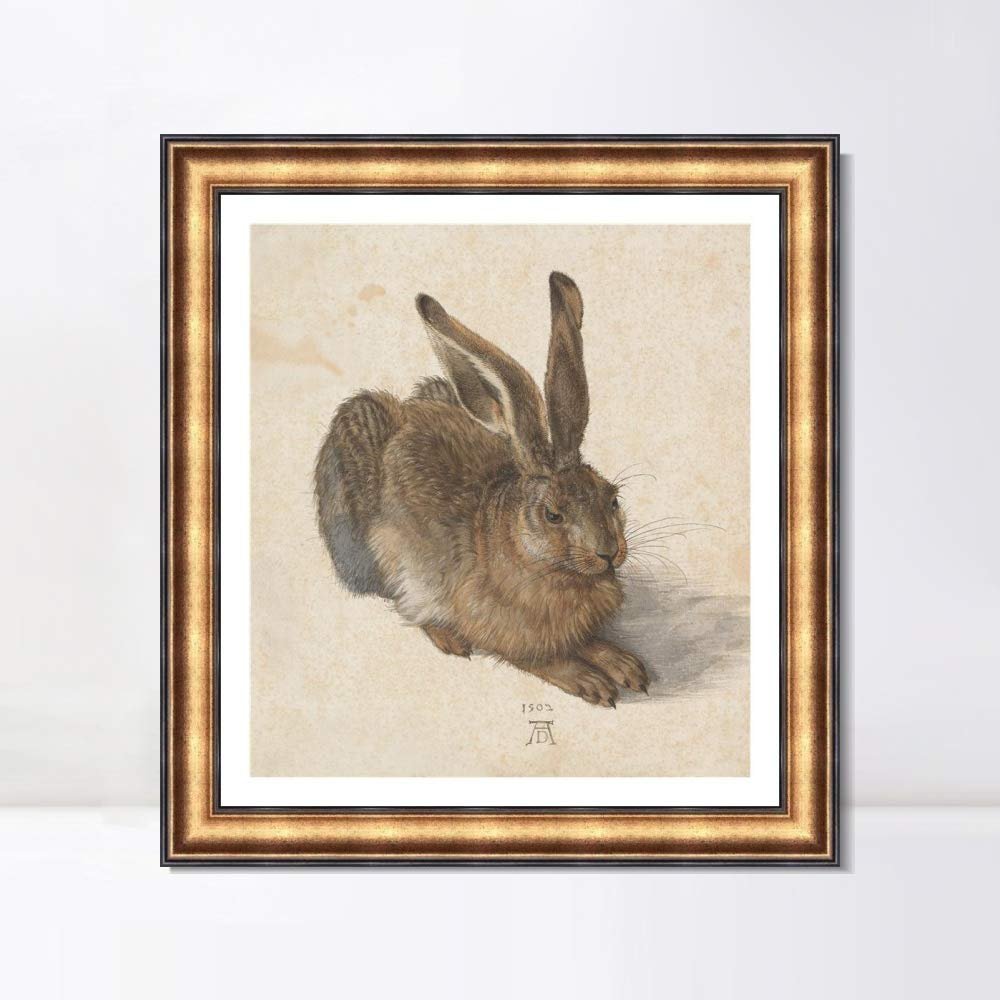 INVIN ART Framed Canvas Giclee Print Young Hare, 1502 by Albrecht Drer Wall Art Living Room Home Office Decorations(European Retro Golden Frame with Linen Liner,28"x28")