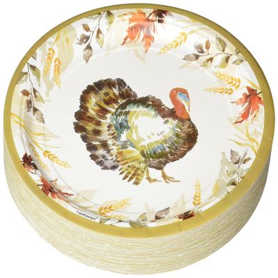 Classic Thanksgiving Round Paper Plates - 9" | Multicolor | Pack of 60
