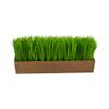 12in. Grass Artificial Plant in Decorative Planter view 1