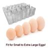 COLOANDUS Large Plastic Egg Cartons 30 Packs with Sticker Labels for 12 Eggs, Cheap Bulk Egg Tray Egg Container Holder for Refrigerator, Storage, Family, Chicken Farm, Market, Camping view 2
