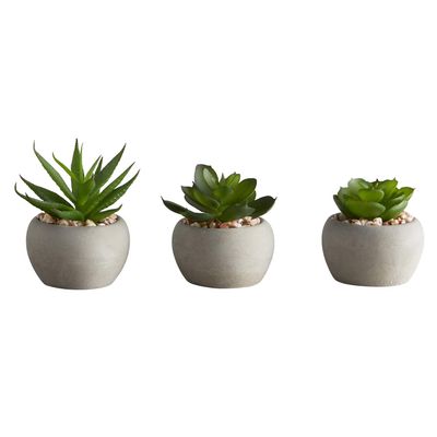 47th & Main Artificial Mini Succulent Plant in Pot, Set of 6, Cement