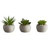 47th & Main Artificial Mini Succulent Plant in Pot, Set of 6, Cement view 1