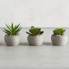 47th & Main Artificial Mini Succulent Plant in Pot, Set of 6, Cement view 2