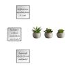 47th & Main Artificial Mini Succulent Plant in Pot, Set of 6, Cement view 4