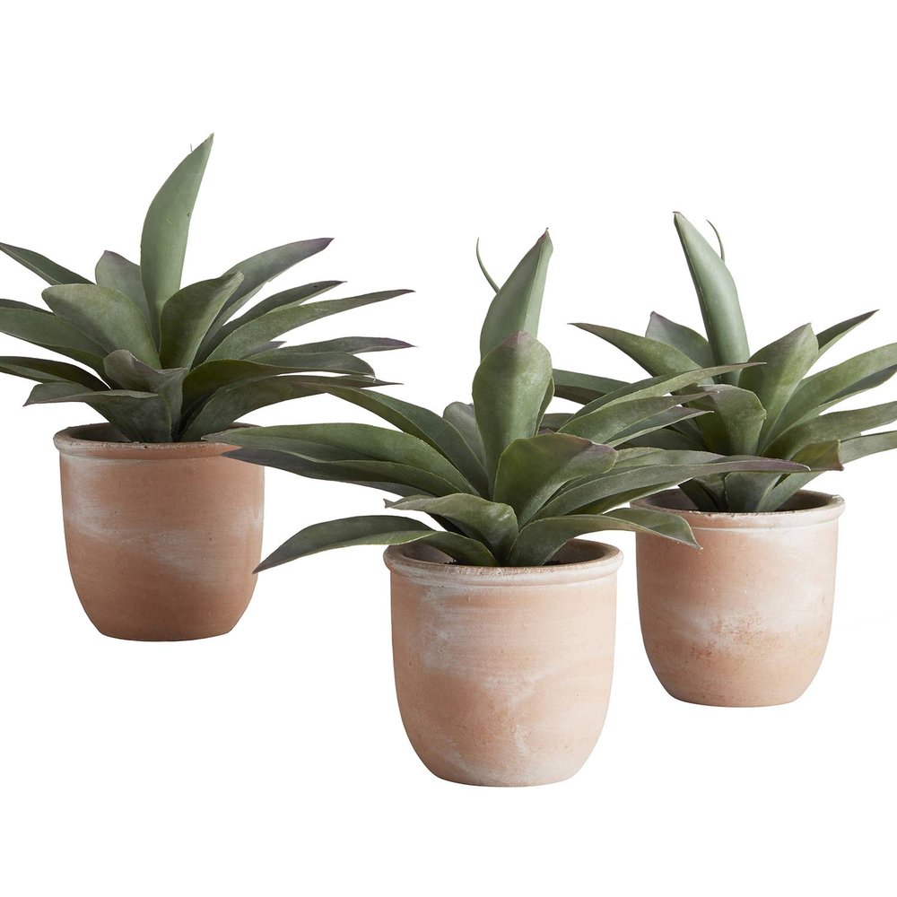 47th & Main Artificial Succulent Plant in Pot, 9.5" Tall, Propeller