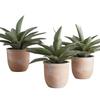47th & Main Artificial Succulent Plant in Pot, 9.5" Tall, Propeller view 1