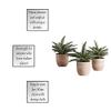 47th & Main Artificial Succulent Plant in Pot, 9.5" Tall, Propeller view 4