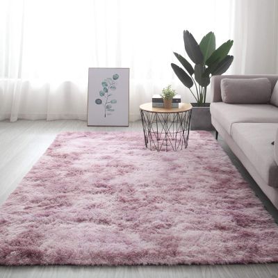 FACAI Soft Thick Carpet Living Room Bedroom Area Rug Mat,Shaggy Plush Carpets for Living Room Home Decor,C-100X200cm