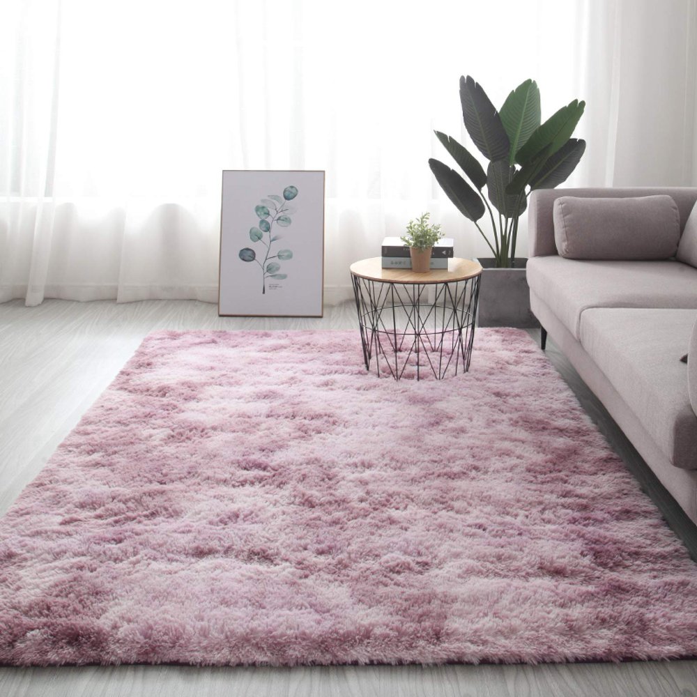 FACAI Soft Thick Carpet Living Room Bedroom Area Rug Mat,Shaggy Plush Carpets for Living Room Home Decor,C-100X200cm