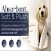 Black & White Brands Brazilian Beach/Pool/Bath Towel - Ultimate Absorbent Luxury XL 36x70 100% Cotton Wave (4 White Towels, Poly Pinstripe) view 2
