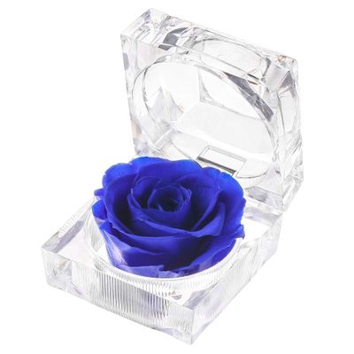 Enchanted Real Preserved Forever Roses in Clear Acrylic Ring Box, Fresh-Cut Eternity Flower That Lasts Years, Valentines Day, Mothers Day, for Her, Blue