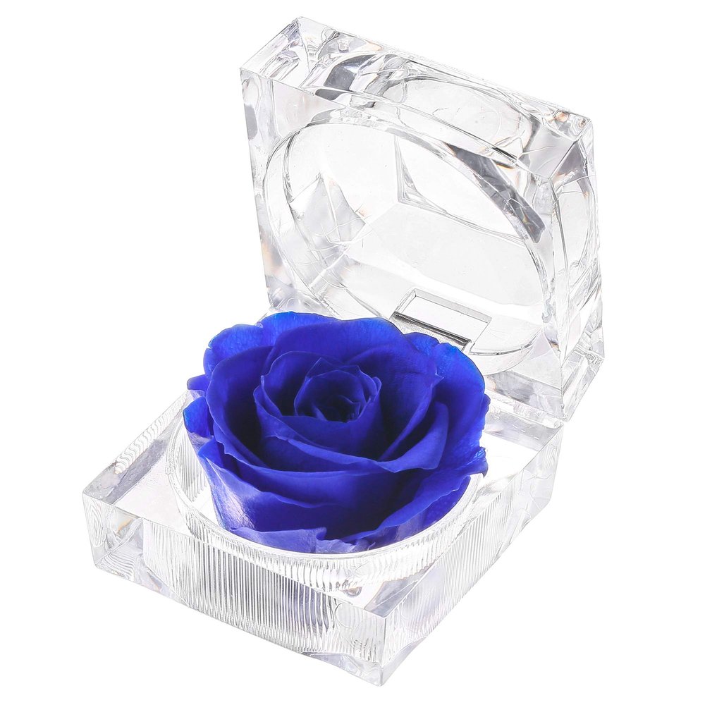 Enchanted Real Preserved Forever Roses in Clear Acrylic Ring Box, Fresh-Cut Eternity Flower That Lasts Years, Valentines Day, Mothers Day, for Her, Blue