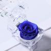 Enchanted Real Preserved Forever Roses in Clear Acrylic Ring Box, Fresh-Cut Eternity Flower That Lasts Years, Valentines Day, Mothers Day, for Her, Blue view 2