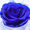 Enchanted Real Preserved Forever Roses in Clear Acrylic Ring Box, Fresh-Cut Eternity Flower That Lasts Years, Valentines Day, Mothers Day, for Her, Blue view 3