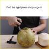 2 Pack Coconut Opener Tool with 4 Reusable Straws and Brush, Easy & Convenient Straw Hole Maker, Food Grade Stainless Steel Coconut Opening Tool Pouch Tap for Young Fresh Thai Hawaii Coco Water Juice view 4