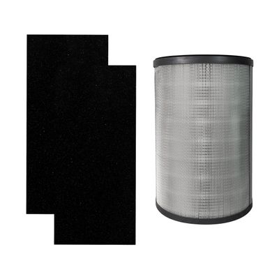 Hunter H-HF980-VP Filter Value Pack with EcoSilver Pre-Filter for HP980