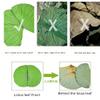 Maya Star 500g Natural Ingredients and Accessories Lotus Leaf Whole Natural Dried Lotus Leaf Lotus Leaf Wrapped Chicken Lotus Leaf Glutinous Rice Chicken Lotus Leaf Rice view 4