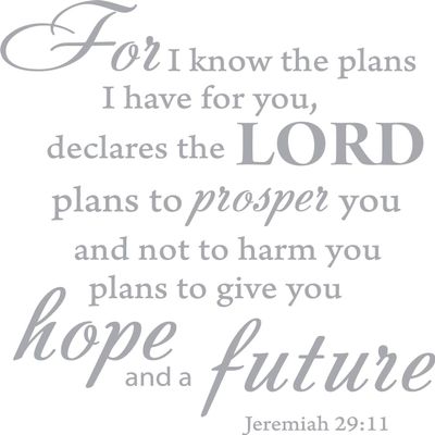 Decaltor Silver 20" x 18" for I Know The Plans I Have for You declares The Lord Jeremiah 29:11 Quotes Sayings Words Art Decor Lettering Vinyl Wall Art Inspirational Uplifting Bible