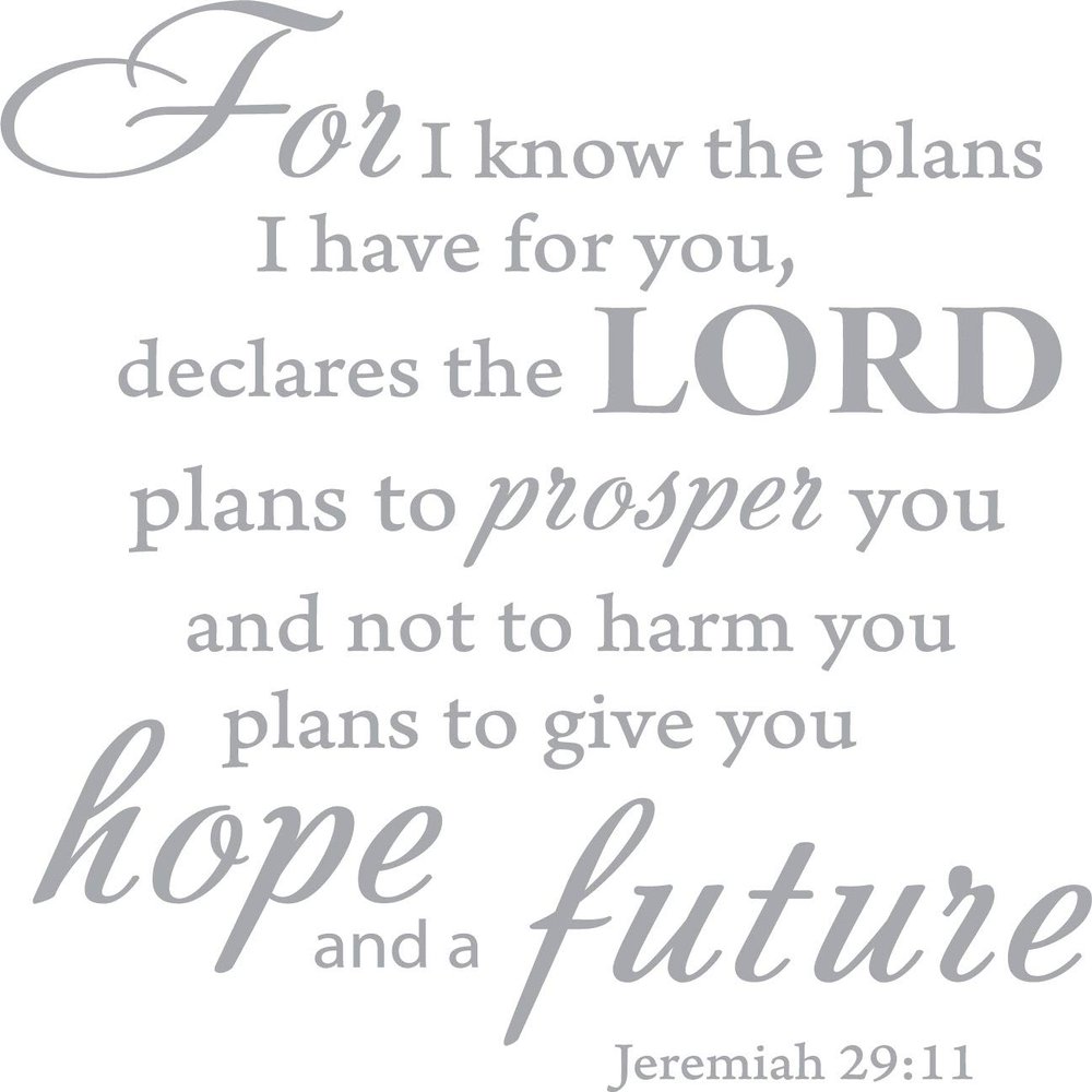 Decaltor Silver 20" x 18" for I Know The Plans I Have for You declares The Lord Jeremiah 29:11 Quotes Sayings Words Art Decor Lettering Vinyl Wall Art Inspirational Uplifting Bible